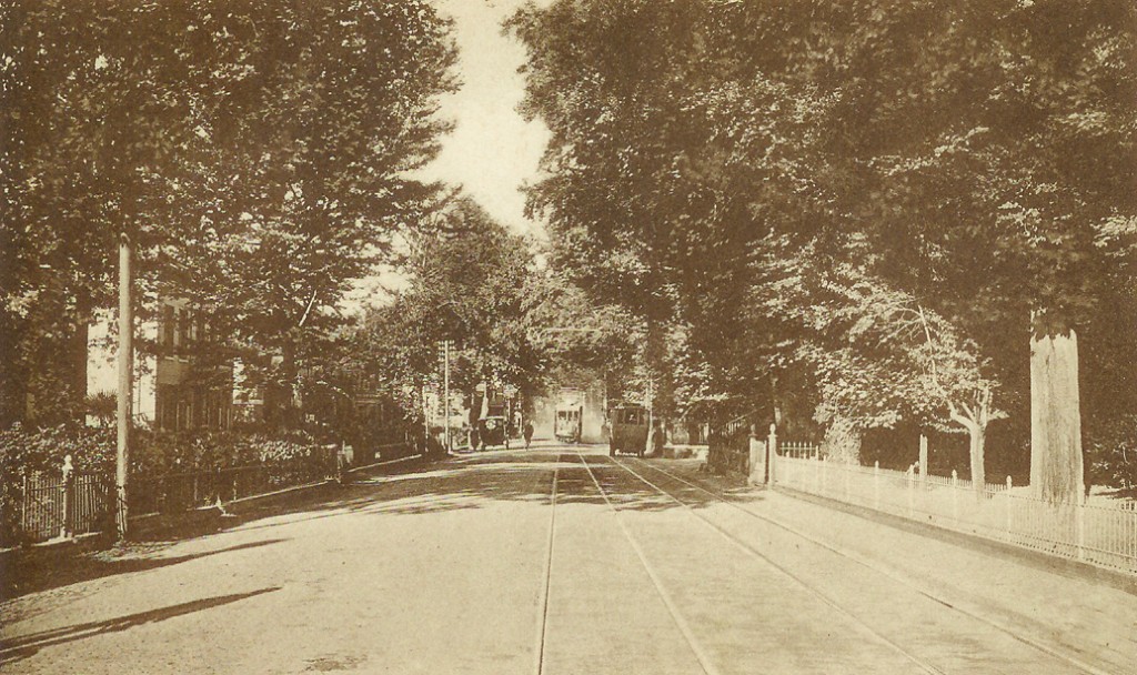 het punt rond de huidige Pastoor Bruggemanlaan in 1928. Rechts de zuilen van de oprijlaan van de Dennenkamp. Links Villa Maria met westelijk daarvan Alida 's Hof.