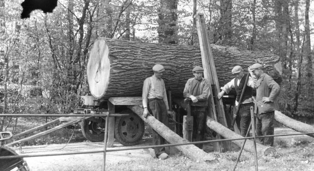 Het laden van een massief stuk eikenhout.