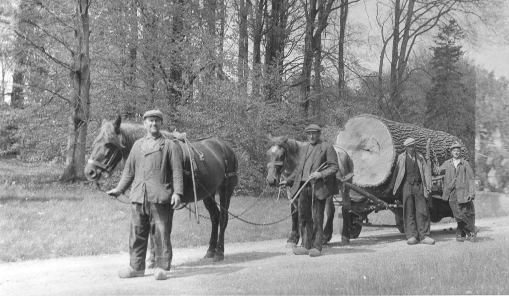 Afvoer met paard en wagen. In het koetshuis van de Hemelse Berg werden geen eigen paarden meer gestald. voor dit werk huurde men materiaal in.