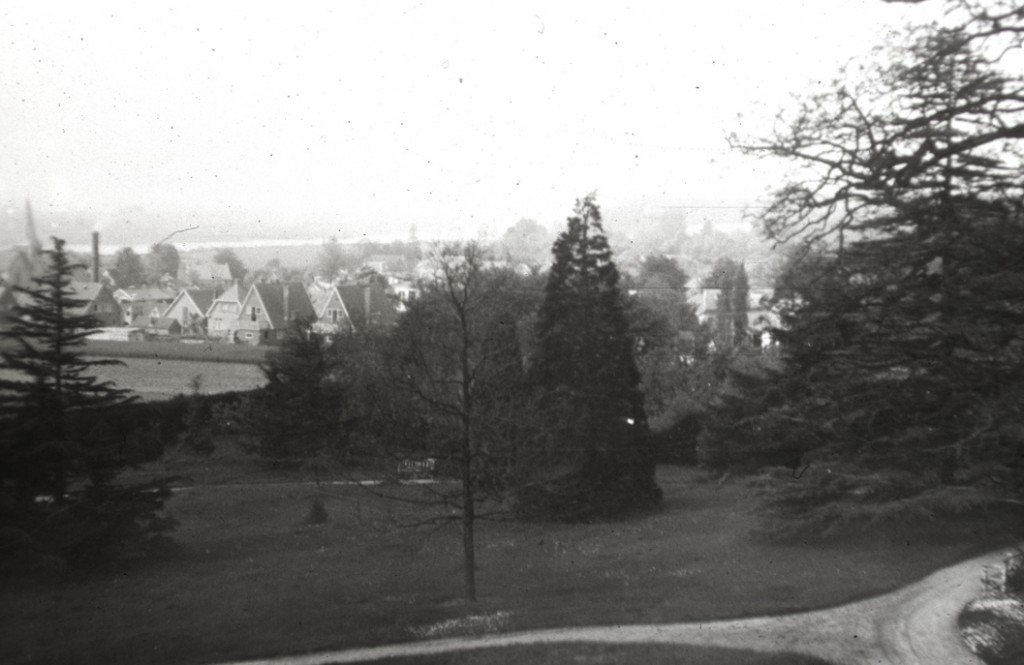 Zicht vanuit het gemeentehuis op de Ploegseweg. Links op de achtergrond de schoorsteen van de wasserij Hofwegen. Foto rond 1938.
