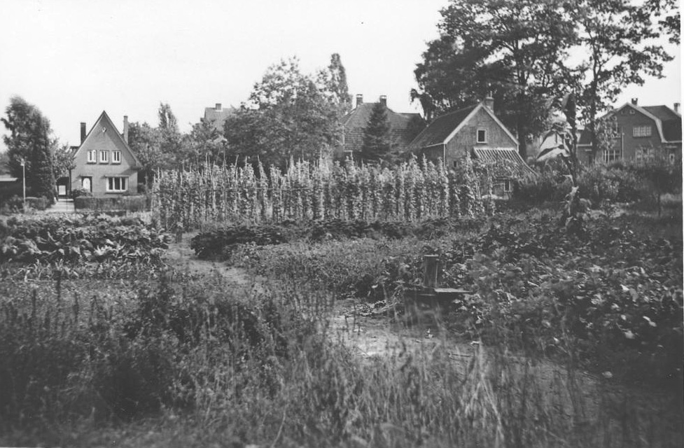 De tuinmanswoning van de villa "Ommershof" op de hoek van de Ommershoflaan /Karel van Gelderlaan. Het in 1919 gebouwde huisje heeft als adres Karel van Gelderlaan 2.