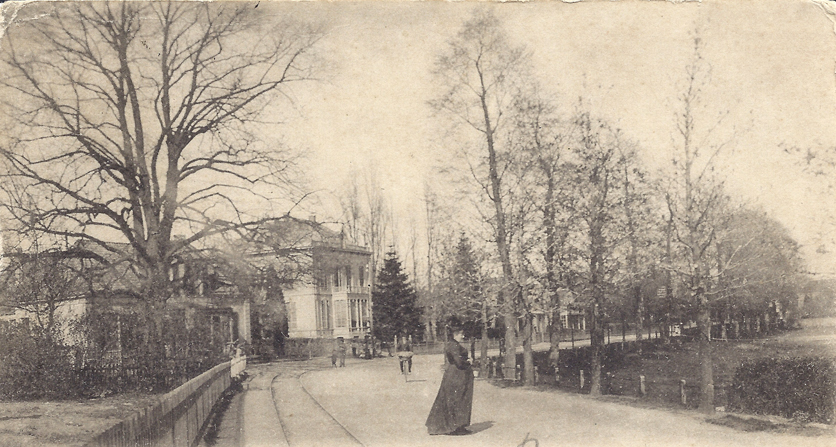 De Dorpsstraat, gezien in oostelijke richting. Rechts achter de bomenrij ligt de Kloosterweide. Links, naast “de Blauwe Spar”, nummer 173 de woning van De Haas. 